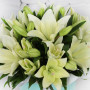 5 белых лилий фото 4